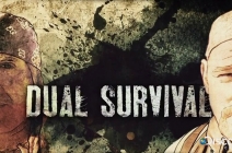 img_dual_survival